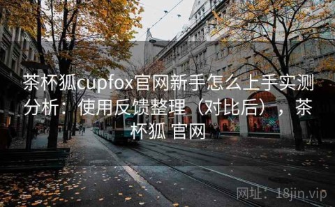 茶杯狐cupfox官网新手怎么上手实测分析：使用反馈整理（对比后），茶杯狐 官网