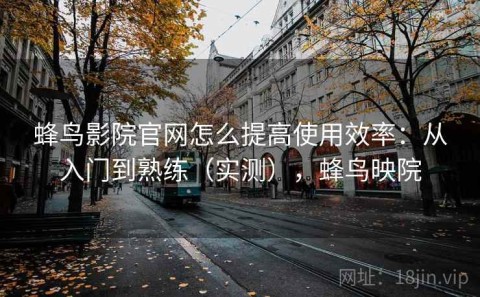 蜂鸟影院官网怎么提高使用效率：从入门到熟练（实测），蜂鸟映院