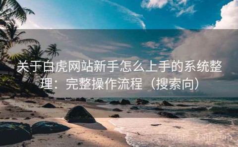 关于白虎网站新手怎么上手的系统整理：完整操作流程（搜索向）