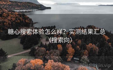 糖心搜索体验怎么样？实测结果汇总（搜索向）