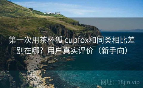 第一次用茶杯狐 cupfox和同类相比差别在哪？用户真实评价（新手向）