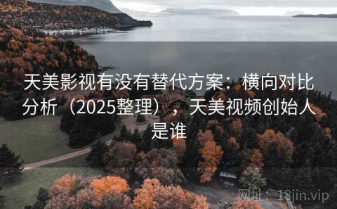 天美影视有没有替代方案：横向对比分析（2025整理），天美视频创始人是谁