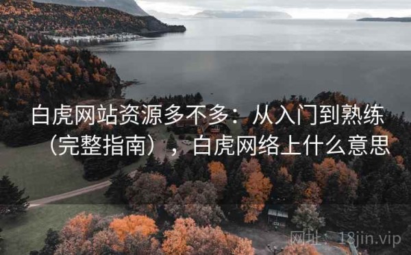 白虎网站资源多不多：从入门到熟练（完整指南），白虎网络上什么意思