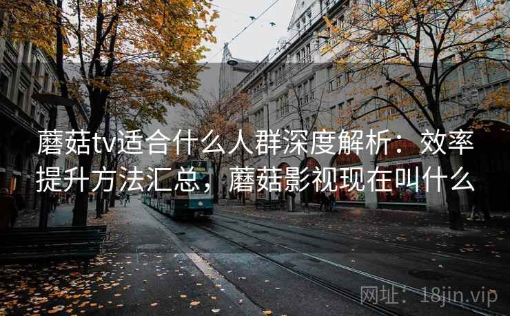 蘑菇tv适合什么人群深度解析：效率提升方法汇总，蘑菇影视现在叫什么