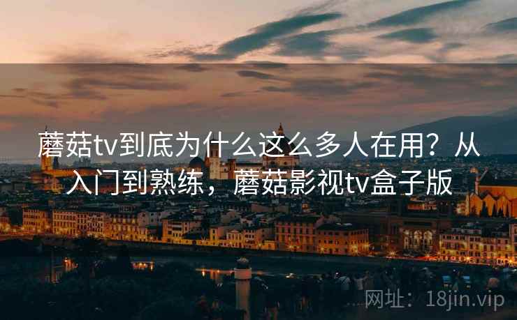 蘑菇tv到底为什么这么多人在用？从入门到熟练，蘑菇影视tv盒子版