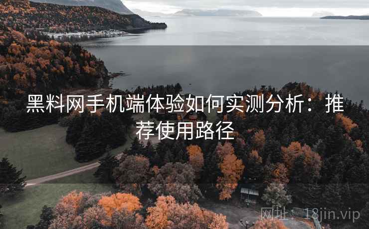 黑料网手机端体验如何实测分析：推荐使用路径