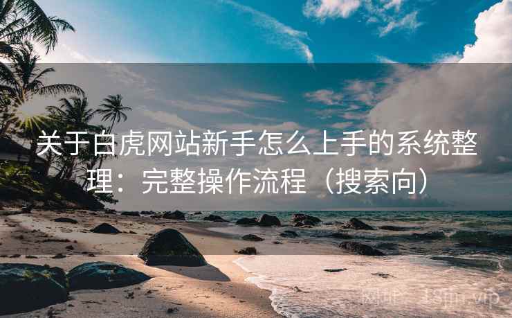 关于白虎网站新手怎么上手的系统整理：完整操作流程（搜索向）