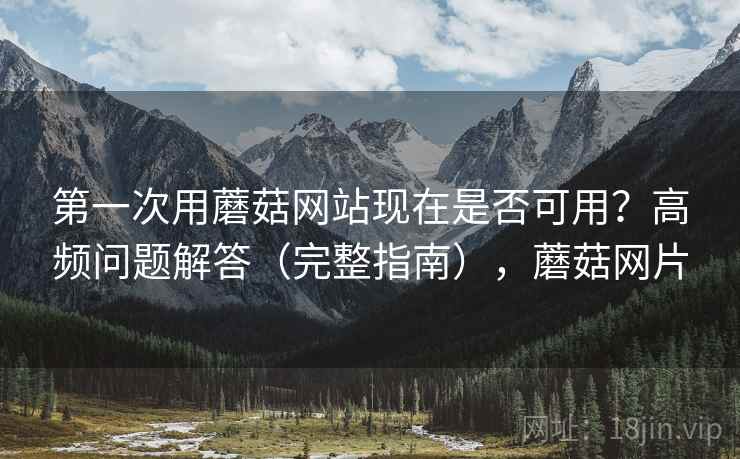 第一次用蘑菇网站现在是否可用？高频问题解答（完整指南），蘑菇网片